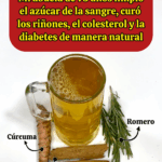 Le llaman “la saca azúcar de la sangre” — más de 100 años eliminando la diabetes, limpiando colesterol y cuidando los riñones Le llaman “la saca azúcar de la sangre” — más de 100 años eliminando la diabetes, limpiando colesterol y cuidando los riñones