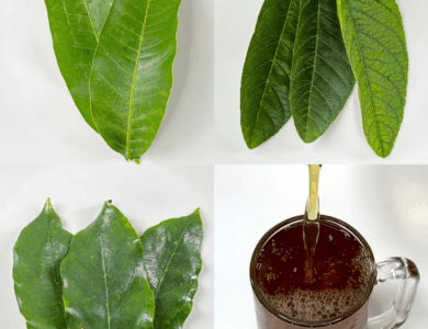 La bebida natural que recomendó Frank Suárez: ayuda a la presión alta, circulación, diabetes y más La bebida natural que recomendó Frank Suárez: ayuda a la presión alta, circulación, diabetes y más