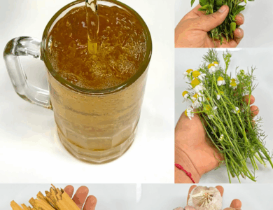 Receta de infusión casera para apoyar la circulación y aliviar dolores articulares Receta de infusión casera para apoyar la circulación y aliviar dolores articulares