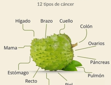 Guanábana: Una Fruta Tropical con Poder Medicinal Guanábana: Una Fruta Tropical con Poder Medicinal