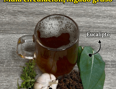 La Bebida Natural que Deja los Hospitales Vacíos La Bebida Natural que Deja los Hospitales Vacíos