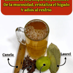 ¡Despeja tus pulmones y elimina la tos de forma natural!