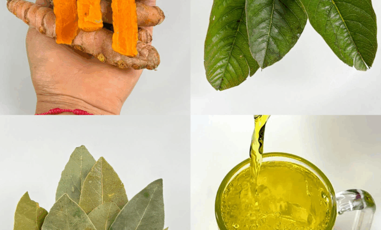 La Bebida Natural que Limpia tu Estómago, Cura la Diabetes y Combate el Sobrepeso