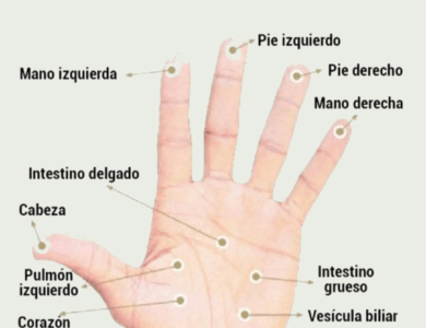 Estrés y ansiedad: consejos prácticos para aliviarlos Estrés y ansiedad: consejos prácticos para aliviarlos