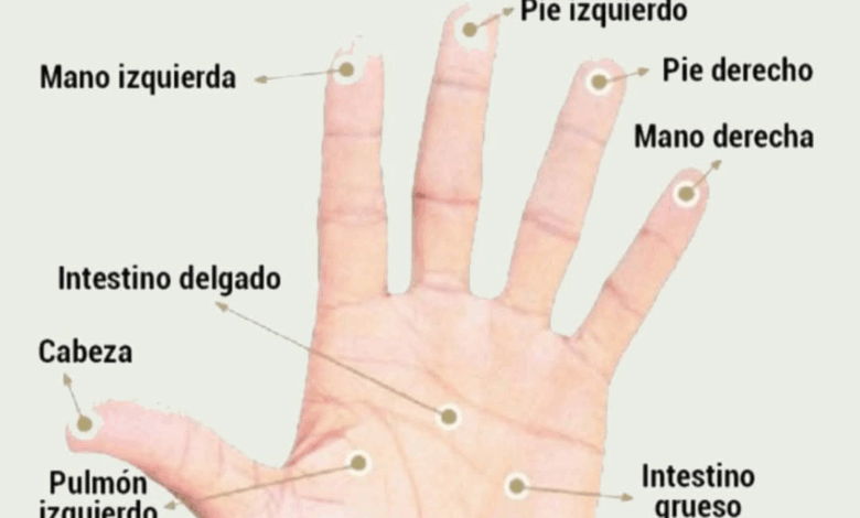 Estrés y ansiedad: consejos prácticos para aliviarlos