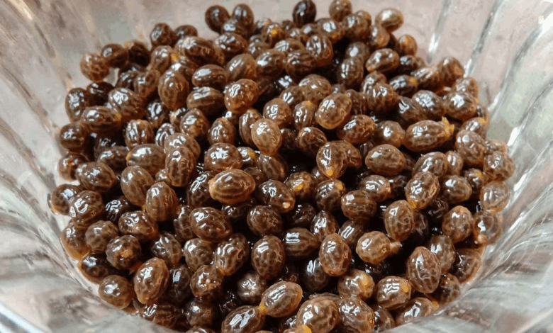 Cómo comer semillas de papaya: un superalimento desconocido que regula el azúcar, cuida el hígado y desparasita naturalmente