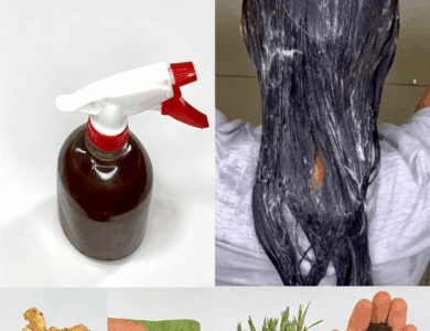 SHAMPOO CASERO MILAGROSO