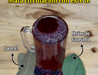 No más diabetes, presión alta ni mala circulación con este té recomendado por el Dr. Frank Suárez No más diabetes, presión alta ni mala circulación con este té recomendado por el Dr. Frank Suárez