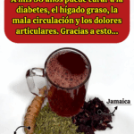 A mis 50 años logré sanar mi cuerpo de forma natural