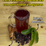 ¡La bebida natural que ayuda contra el cáncer, la mala circulación y la diabetes!