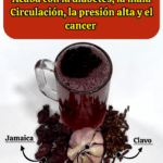 Di adiós a la diabetes, la presión alta, la mala circulación y el cáncer Di adiós a la diabetes, la presión alta, la mala circulación y el cáncer