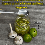 No sufras más con el vientre inflamado