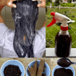 El Secreto Indio para un Cabello Largo, Fuerte y sin Canas El Secreto Indio para un Cabello Largo, Fuerte y sin Canas