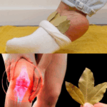 Coloca una ramita de laurel debajo de la almohada y olvídate de la farmacia