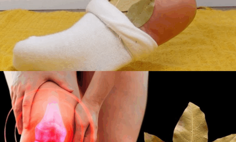 Coloca una ramita de laurel debajo de la almohada y olvídate de la farmacia