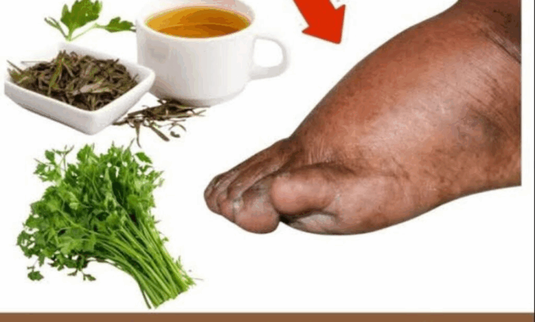 Piernas Ligeras y Sin Hinchazón: El Poder Natural del Té de Perejil