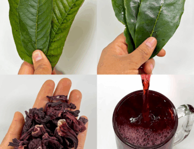 ¿Te sientes sin energía, estresada o con el hígado cargado? ¿Te sientes sin energía, estresada o con el hígado cargado?