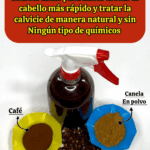 Secreto indio para hacer crecer el cabello y combatir la calvicie de forma natural Secreto indio para hacer crecer el cabello y combatir la calvicie de forma natural