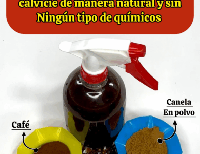 Secreto indio para hacer crecer el cabello y combatir la calvicie de forma natural Secreto indio para hacer crecer el cabello y combatir la calvicie de forma natural