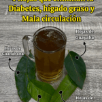 Las 4 hojas que ayudan a combatir la diabetes, el cáncer, el hígado graso, la mala circulación y la presión alta sin pastillas Las 4 hojas que ayudan a combatir la diabetes, el cáncer, el hígado graso, la mala circulación y la presión alta sin pastillas
