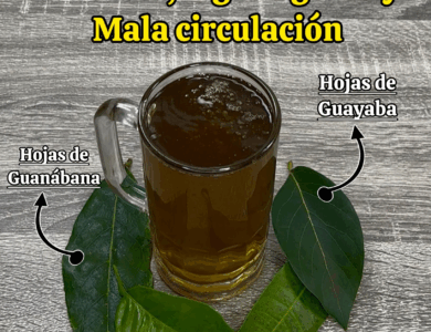 Las 4 hojas que ayudan a combatir la diabetes, el cáncer, el hígado graso, la mala circulación y la presión alta sin pastillas