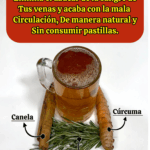 Esta bebida te limpia la sangre y mejora la circulación Esta bebida te limpia la sangre y mejora la circulación