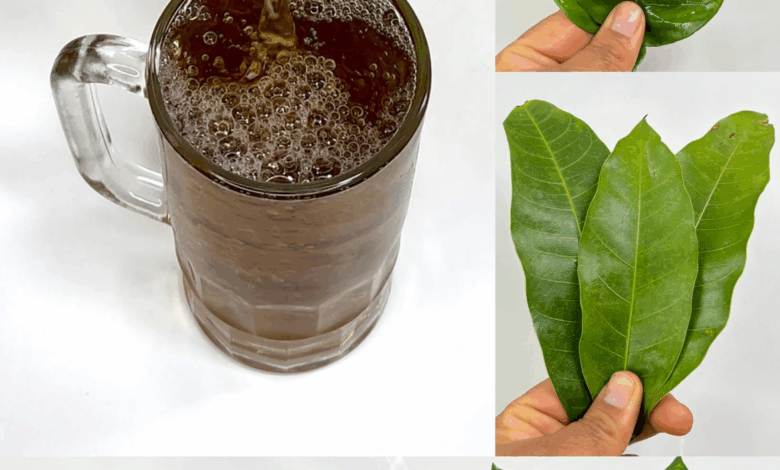 La infusión de 4 hojas que combate la diabetes, el cáncer, el hígado graso, la mala circulación y la presión alta… ¡sin pastillas!