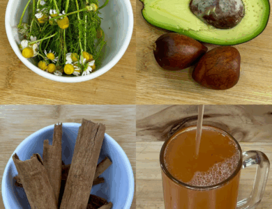 La semilla que está revolucionando la salud: combate el cáncer, la diabetes y la mala circulación La semilla que está revolucionando la salud: combate el cáncer, la diabetes y la mala circulación