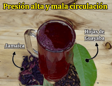 Infusión de Jamaica, Clavo, Laurel y Hojas de Guayaba