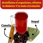 Limpia tus riñones y mejora tu circulación con esta bebida natural