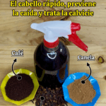 El Secreto Indio para Hacer Crecer el Cabello Rápido y Detener la Calvicie El Secreto Indio para Hacer Crecer el Cabello Rápido y Detener la Calvicie