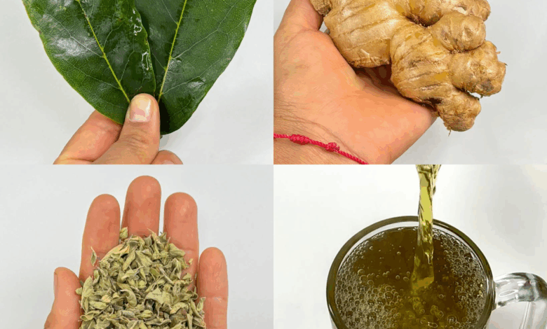 La Bebida Que Los Médicos No Quieren Que Sepas