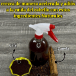 Secreto Indio Para Hacer Crecer Tu Cabello y Decir Adiós a las Canas Secreto Indio Para Hacer Crecer Tu Cabello y Decir Adiós a las Canas