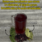 Bebida natural para la diabetes, el hígado graso, la presión alta y la mala circulación Bebida natural para la diabetes, el hígado graso, la presión alta y la mala circulación