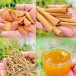 Infusión de Semilla de Aguacate con Canela y Manzanilla Infusión de Semilla de Aguacate con Canela y Manzanilla