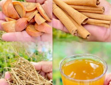 Infusión de Semilla de Aguacate con Canela y Manzanilla Infusión de Semilla de Aguacate con Canela y Manzanilla