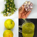 La bebida natural que muchos llaman la cura de todo