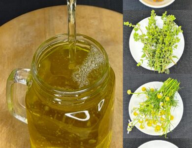 Infusión herbal de orégano, canela y manzanilla