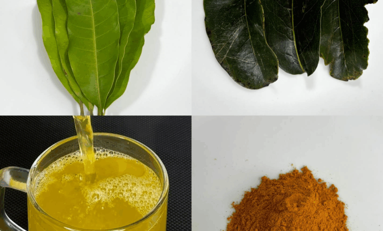 La bebida natural que ayuda a controlar la diabetes, la presión alta y la mala circulación en solo 7 días