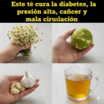 Una infusión natural para apoyar tu salud: controla la circulación, la presión y fortalece el organismo Una infusión natural para apoyar tu salud: controla la circulación, la presión y fortalece el organismo