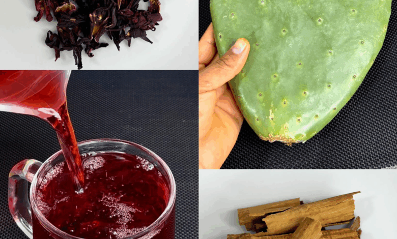 Infusión Natural de Nopal, Flor de Jamaica y Canela: Energía y Bienestar en un Vaso