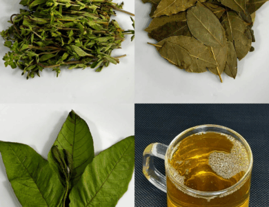 Infusión de Orégano, Laurel y Guayaba: Un Ritual Natural de Bienestar