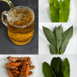 Infusión de Hojas de Mango, Naranja y Guanábana con Cúrcuma: Un Ritual Natural de Bienestar Infusión de Hojas de Mango, Naranja y Guanábana con Cúrcuma: Un Ritual Natural de Bienestar