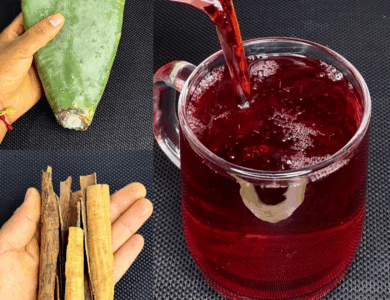 La Infusión de Nopal y Canela que Está Conquistando al Mundo