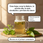 Las Hojas Milagrosas que Curan la Diabetes, la Presión Alta y la Mala Circulación