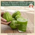 Chayote: El Tesoro Natural que Mejora la Circulación, Combate la Anemia y Alivia el Dolor Articular