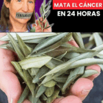 Un Enfoque Natural para Apoyar el Cáncer: La Perspectiva de Barbara O’Neill