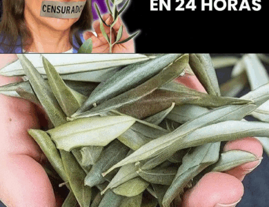 Un Enfoque Natural para Apoyar el Cáncer: La Perspectiva de Barbara O’Neill Un Enfoque Natural para Apoyar el Cáncer: La Perspectiva de Barbara O’Neill