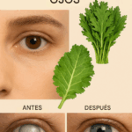 5 Hojas Poderosas Que Mejoran Tu Salud Ocular Naturalmente (Respaldadas por Nutrientes, No Medicamentos) 5 Hojas Poderosas Que Mejoran Tu Salud Ocular Naturalmente (Respaldadas por Nutrientes, No Medicamentos)