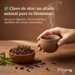 El Poder del Clavo de Olor: 20 Razones para Masticarlo a Diario El Poder del Clavo de Olor: 20 Razones para Masticarlo a Diario